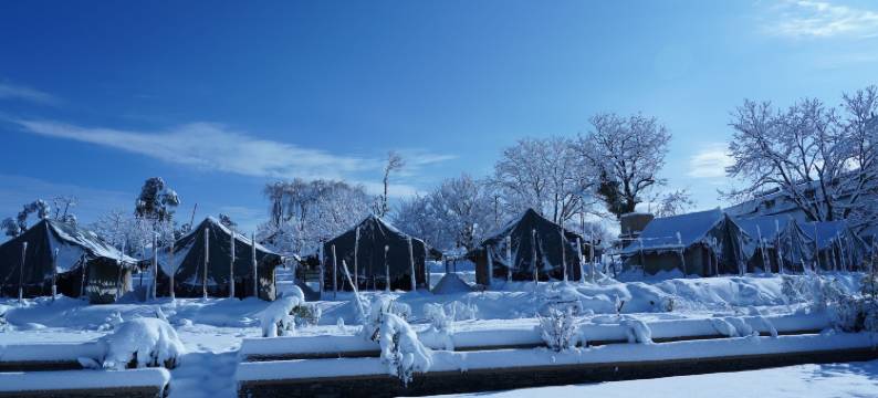 埃森扎丛林生活酒店(Jungle Livinn Resort)图片