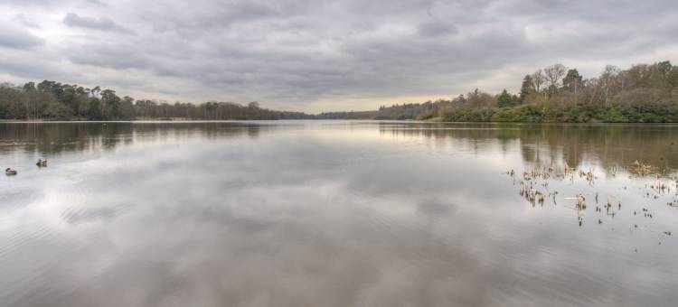 威特席夫酒店 - 弗吉尼亚湖格林国王旅馆(Wheatsheaf Hotel by Chef & Brewer Collection)图片