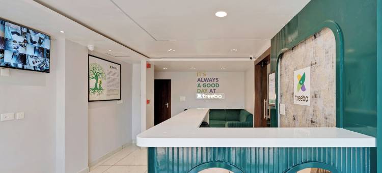 Treebo 光环(Treebo the Aura)图片