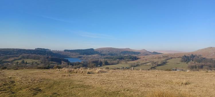 工艺之家(The Craft House)图片