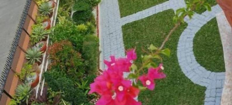 卡萨法米利雅酒店(Casa Familya)图片