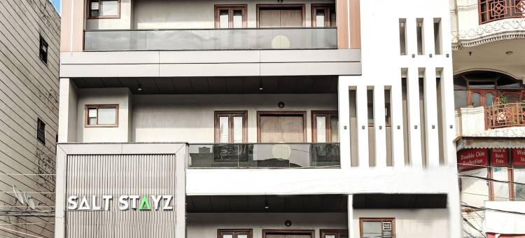 Saltstayz Select - Pitampura图片