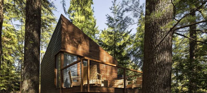 佩德拉什萨尔加达什Spa及自然公园酒店(Pedras Salgadas Spa & Nature Park)图片