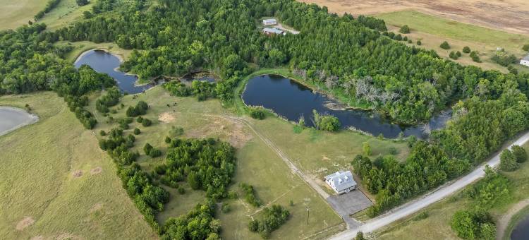 配备钓鱼池塘：德州度假屋与奶牛！(Stocked Fishing Ponds: Texas Getaway w/ Cows!)图片