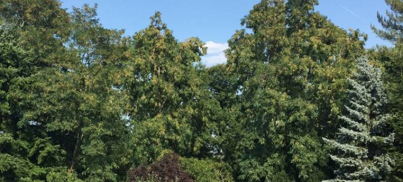 希望公寓(Apartment Hope Inn)图片