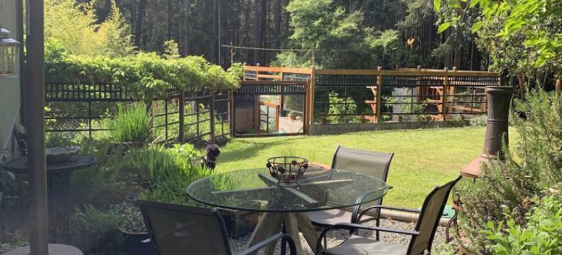 盐泉马车房住宿加早餐旅馆(Salt Spring Carriage House B&B)图片