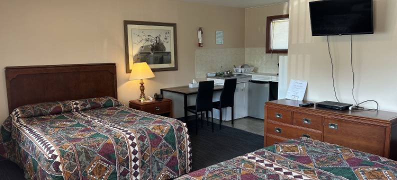 银桦树汽车旅馆(The Silver Birch Motel)图片