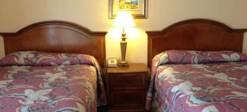 卡迪拉克汽车旅馆(Cadillac Motel)图片