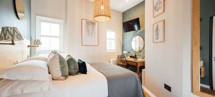 威廉的狐狸(The Fox at Willian)图片