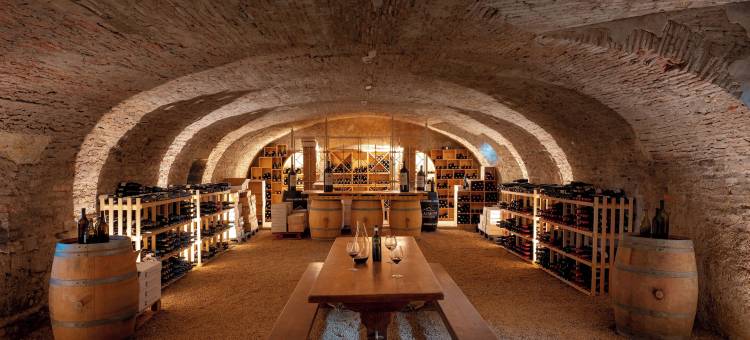 圣山蒙娜斯特雷酒店(Le Monastère de Saint Mont Hôtel & Spa)图片