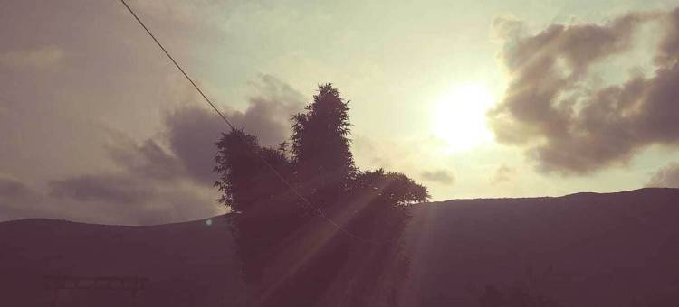 布兰卡木屋(La Cabaña de Blanca)图片