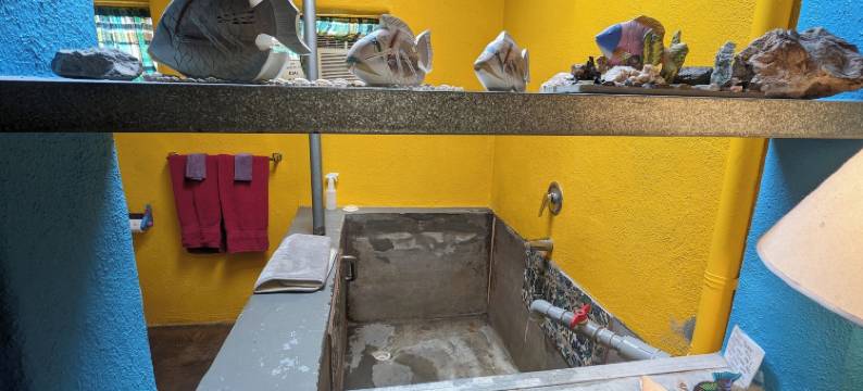 鹈鹕 Spa 酒店(Pelican Spa)图片