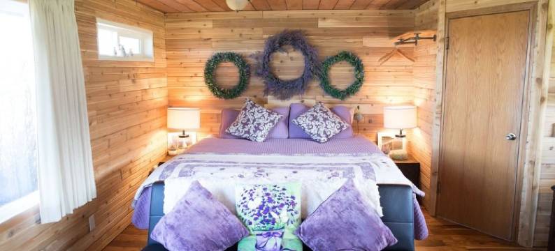 黄道蟹湾小屋酒店(Dungeness Bay Cottages)图片