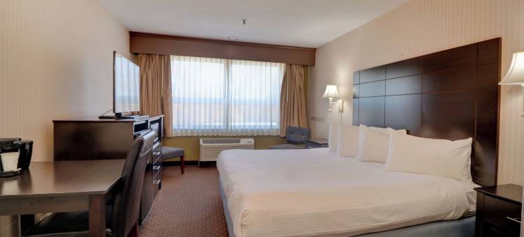 安克雷奇套房酒店(Anchorage Inn and Suites)图片