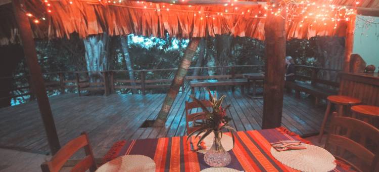 羽叶棕榈河畔小屋酒店(Cohune Palms River Cabanas)图片