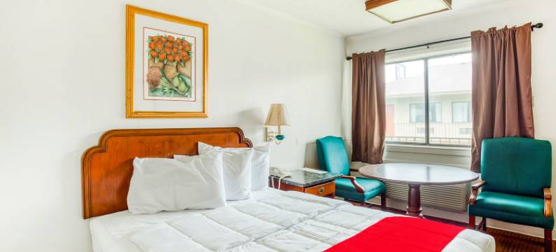 OYO圣安东尼奥东酒店(OYO Hotel San Antonio East)图片