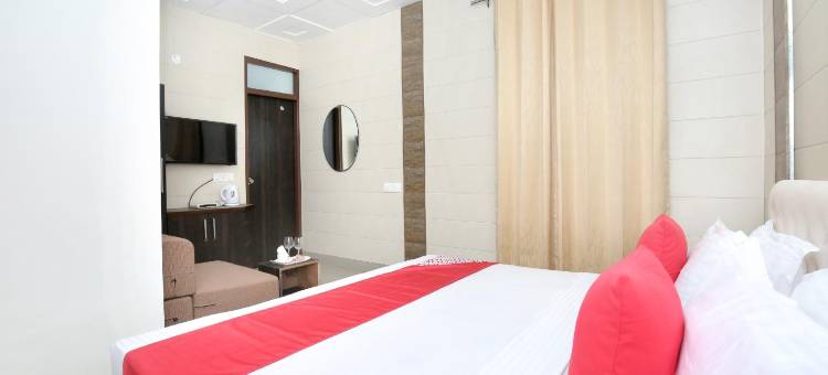 Collection O Gold Star图片