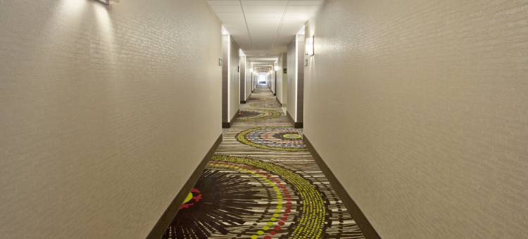 希尔顿欢朋套房酒店-纳什维尔士麦那(Hampton Inn & Suites Nashville-Smyrna)图片