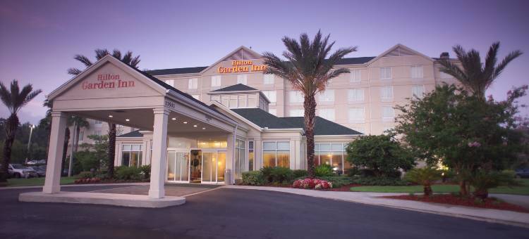 杰克逊维尔机场希尔顿花园酒店(Hilton Garden Inn Jacksonville-Airport)图片