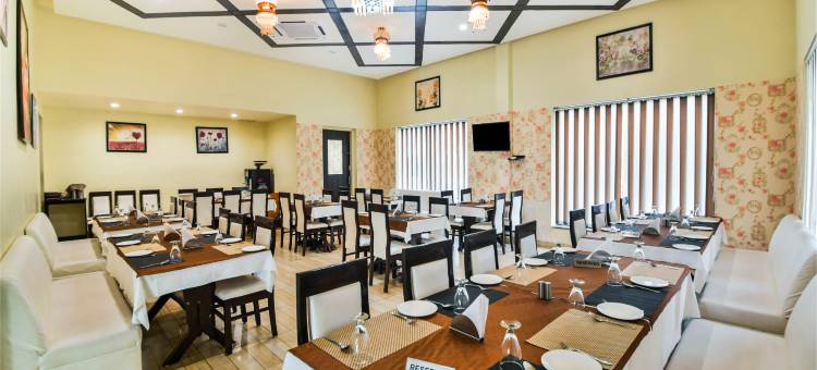 阿姆里特曼森酒店(Hotel Amrit Manthan)图片