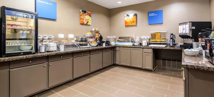 IAH布什机场-东舒适套房酒店(Comfort Inn & Suites IAH Bush Airport - East)图片