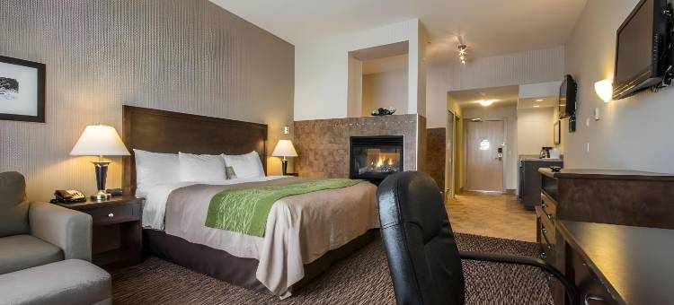 舒适套房酒店(Comfort Inn & Suites)图片