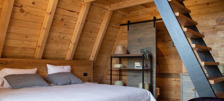 皮德拉阿尔塔小木屋(Chalets Piedra Alta)图片