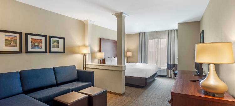 舒适套房酒店阿米什乡村(Comfort Inn & Suites Amish Country)图片