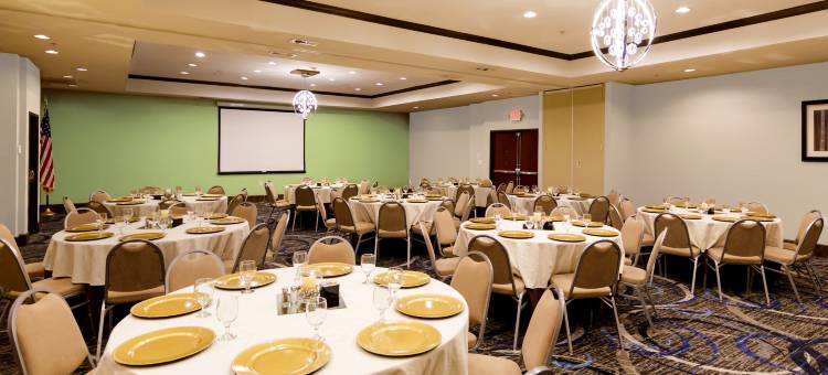 Holiday Inn 休斯敦韦伯斯特(Holiday Inn HOUSTON-WEBSTER by IHG)图片