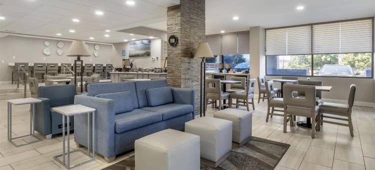 特索尔兹伯里广场贝斯特韦斯特酒店(Best Western Salisbury Plaza)图片