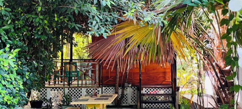 靠近海滩的灵魂别墅和小屋，带泳池(Soul Villas & Cabana Near Beach with Pool)图片