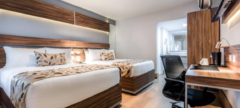 北蒙特雷舒眠酒店(Sleep Inn Monterrey Norte)图片