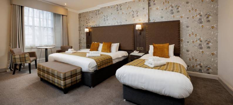 新城酒店(New Town Hotel)图片