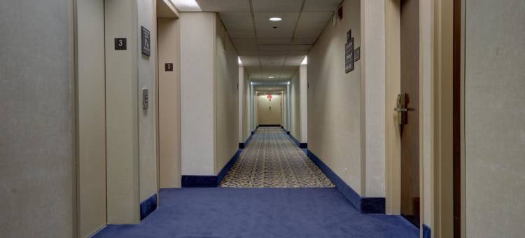 SureStay Plus Hotel by Best Western Chicago Lombard图片