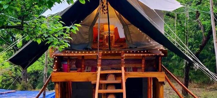 橡树景露营地(Camp Oak View)图片