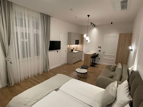 萨拉热窝中心公寓