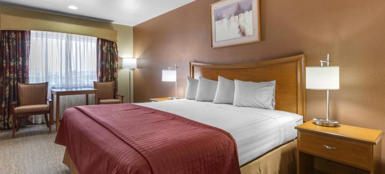 谢利峡谷贝斯特韦斯特酒店(Best Western Canyon de Chelly Inn)图片