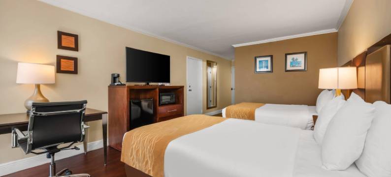 迪尔菲尔德海滩海淀舒适酒店(Comfort Inn Oceanside Deerfield Beach)图片