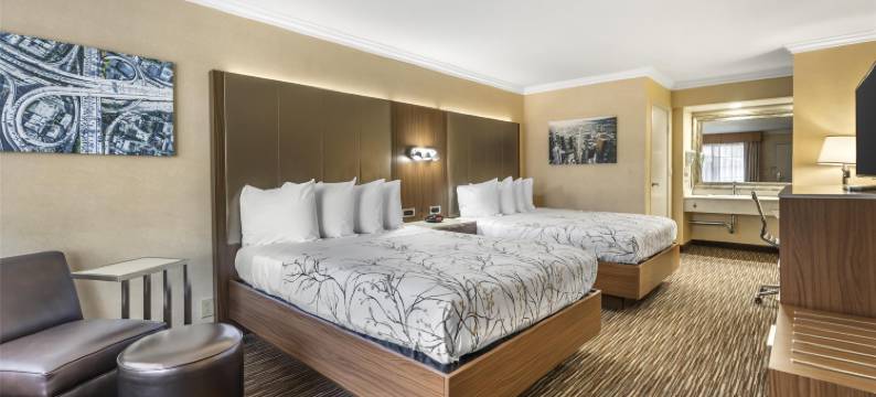 机场公园贝斯特韦斯特酒店(Best Western Airpark Hotel - Los Angeles LAX Airport)图片