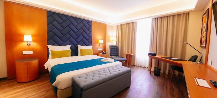 尼亚美布拉威雅酒店(Bravia Hotel Niamey)图片