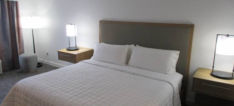 贝斯特韦斯特精品休斯敦市中心/会议中心酒店(Best Western Premier Houston Downtown/Convention Center Hotel)图片