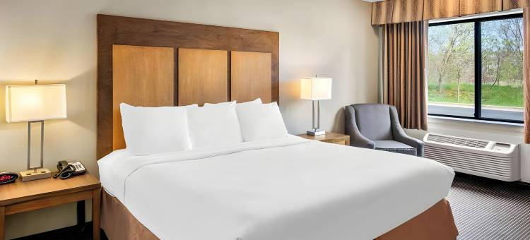 白松酒店套房(White Pines Inn & Suites)图片