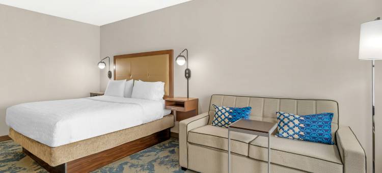 亚特兰大-德卢斯-格威内特县欢朋套房酒店(Hampton Inn & Suites Atlanta/Duluth/Gwinnett County)图片