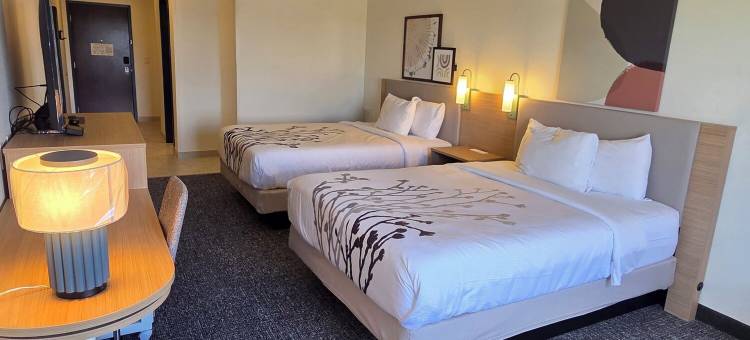 快捷套房酒店(Express Inn & Suites)图片