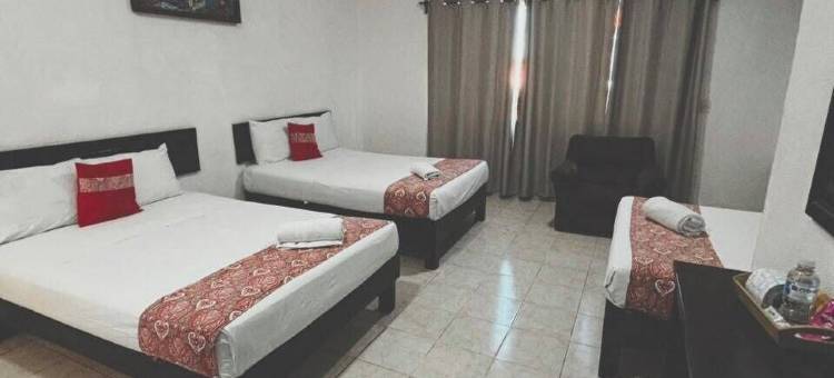 墨西哥酒店(Hotel México)图片