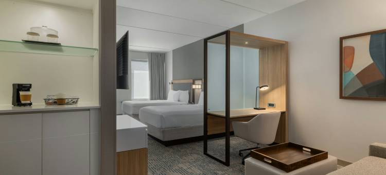 阿伦敦伯利恒森特瓦利SpringHill Suites酒店(SpringHill Suites Allentown Bethlehem/Center Valley)图片