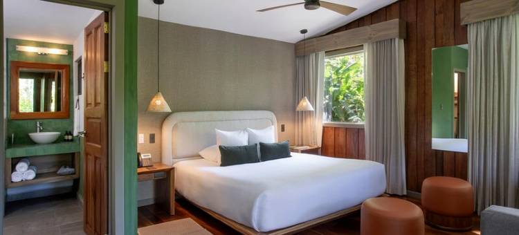 蒙特沃德森达酒店(Senda Monteverde Hotel Member of the Cayuga Collection)图片