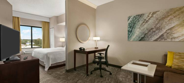 杜勒斯机场 SpringHill Suites 万豪酒店(SpringHill Suites Dulles Airport)图片