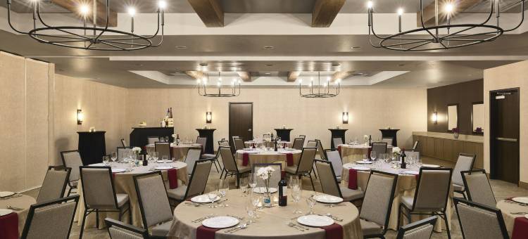 希尔顿启缤精选图森埃迪酒店(The Eddy Hotel Tucson, Tapestry Collection by Hilton)图片