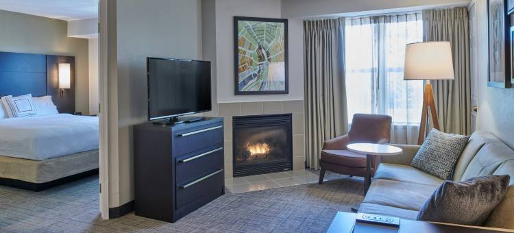 底特律诺维Residence Inn 酒店(Residence Inn Detroit Novi)图片